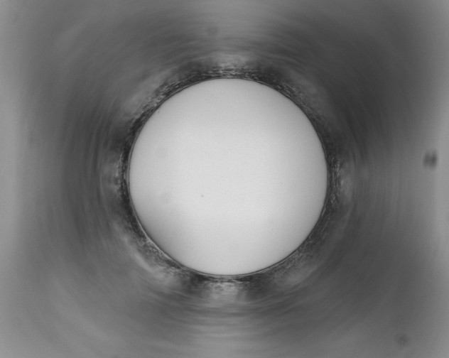 X0000112740698200909101516