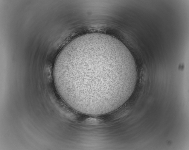 X0000112740699200909101516