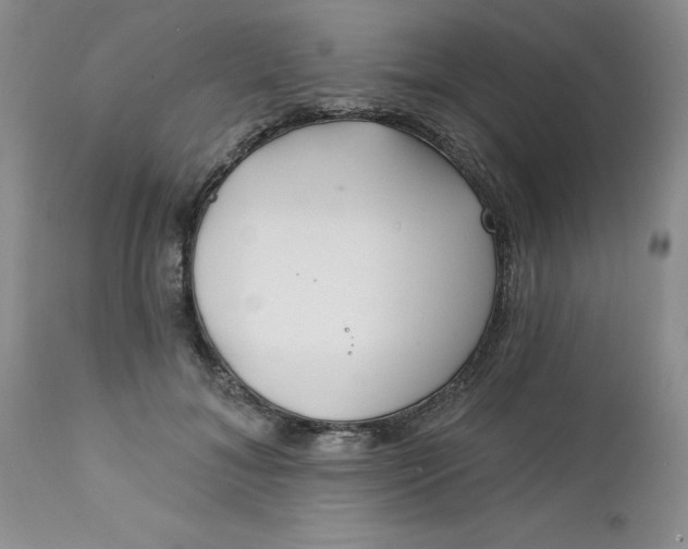 X0000112740700200909101516