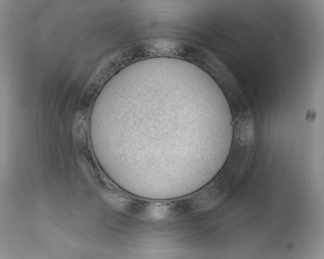 X0000112740701200909101516