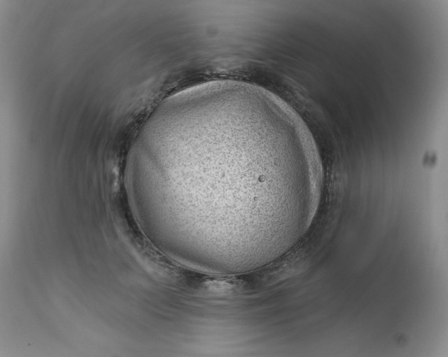 X0000112740703200909101516