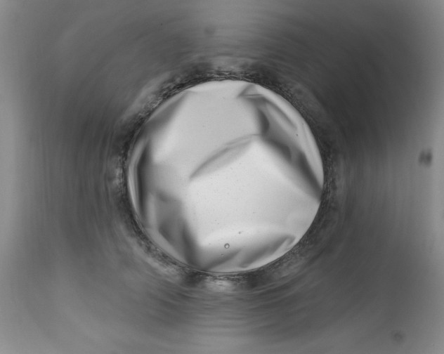 X0000112740706200909101516