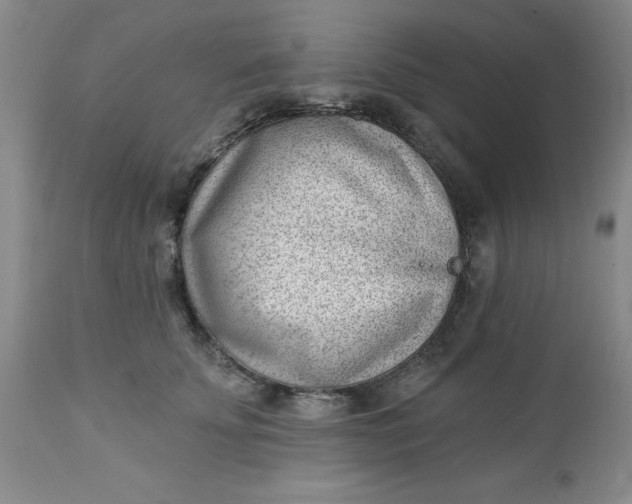 X0000112740707200909101516