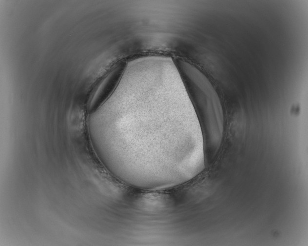 X0000112740708200909101516