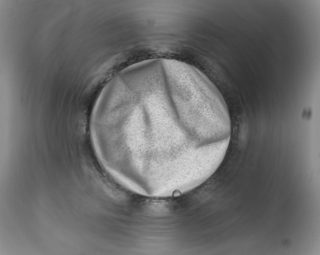 X0000112740710200909101516