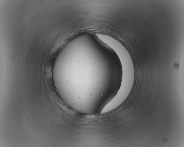 X0000112740713200909101516