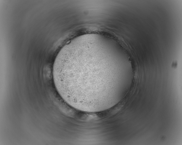 X0000112740715200909101516