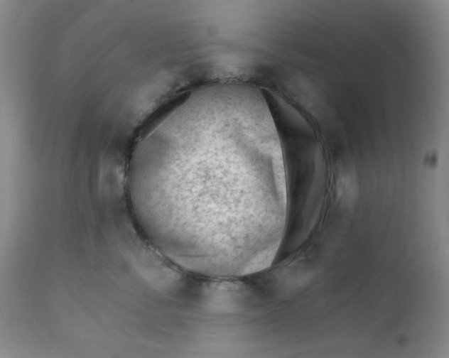 X0000112740716200909101516