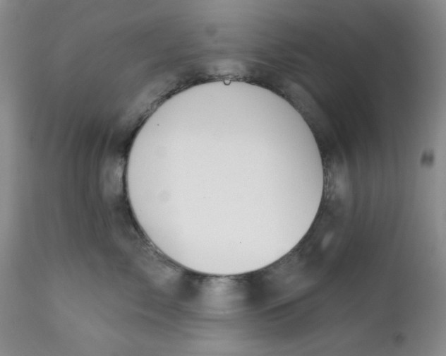 X0000112740717200909101516