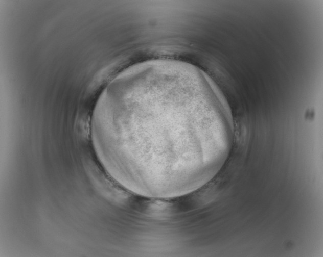 X0000112740718200909101516