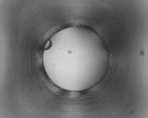 X0000112740719200909101516