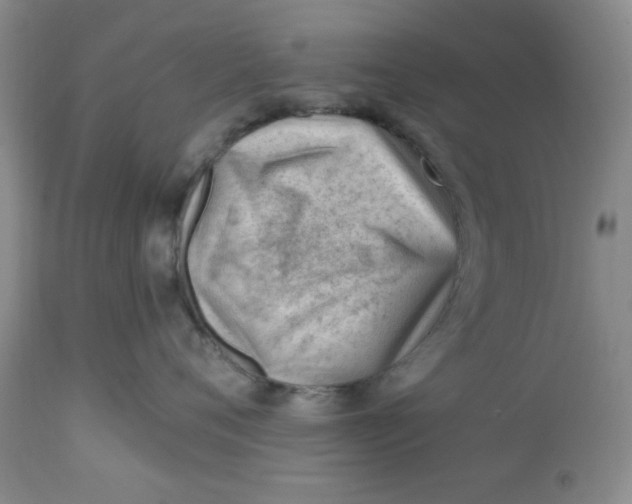 X0000112740720200909101516