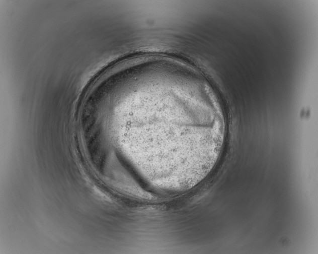 X0000112740721200909101515