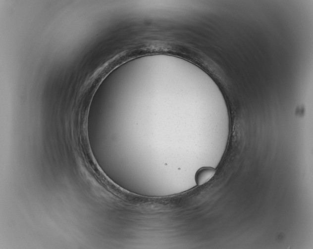 X0000112740722200909101515