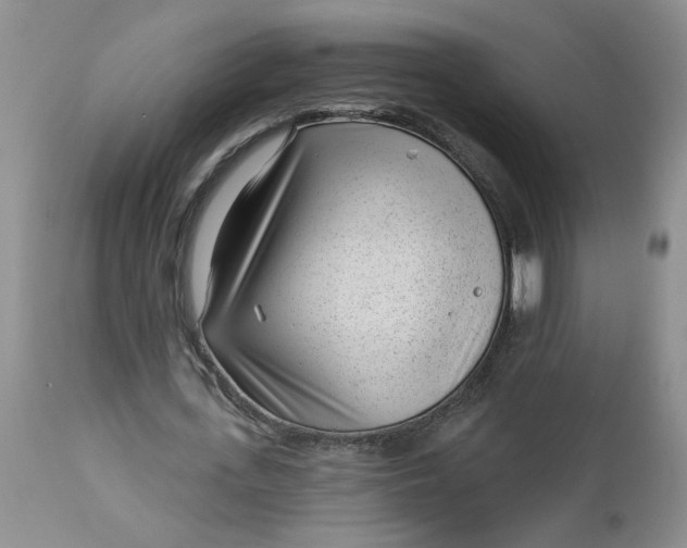 X0000112740723200909101515