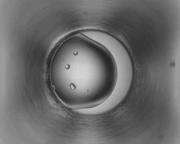 X0000112740724200909101515