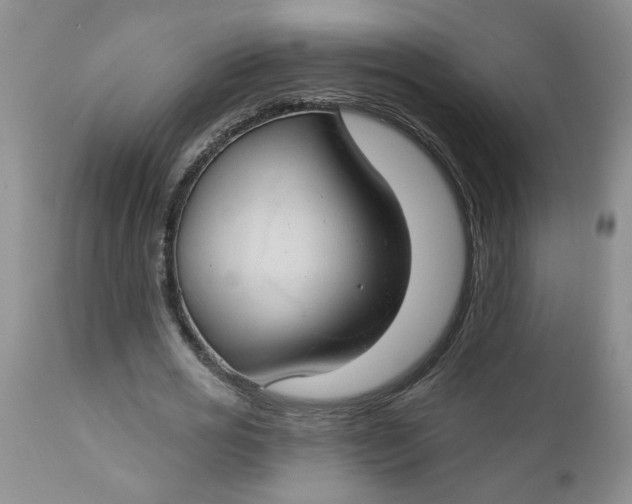 X0000112740725200909101515