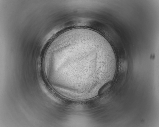 X0000112740726200909101515