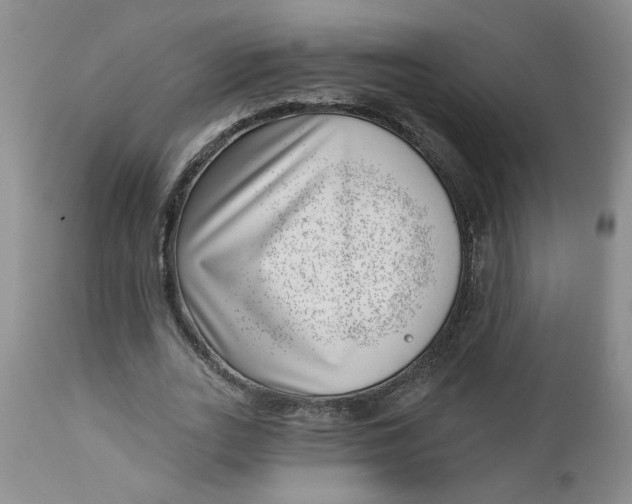 X0000112740727200909101515