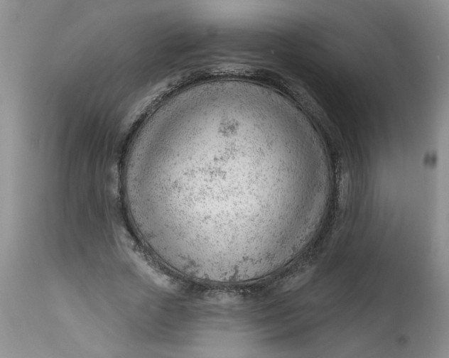 X0000112740729200909101515