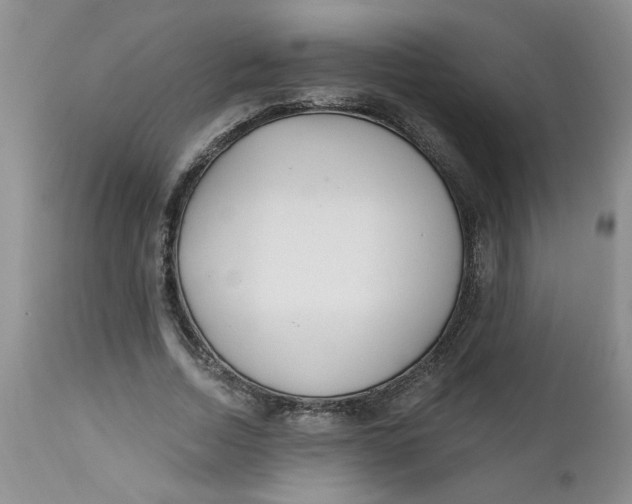 X0000112740730200909101515