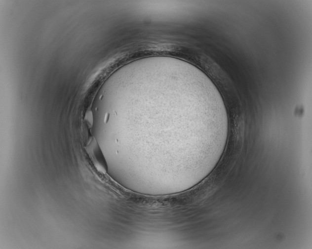 X0000112740731200909101515