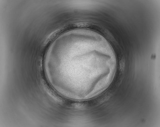 X0000112740733200909101515