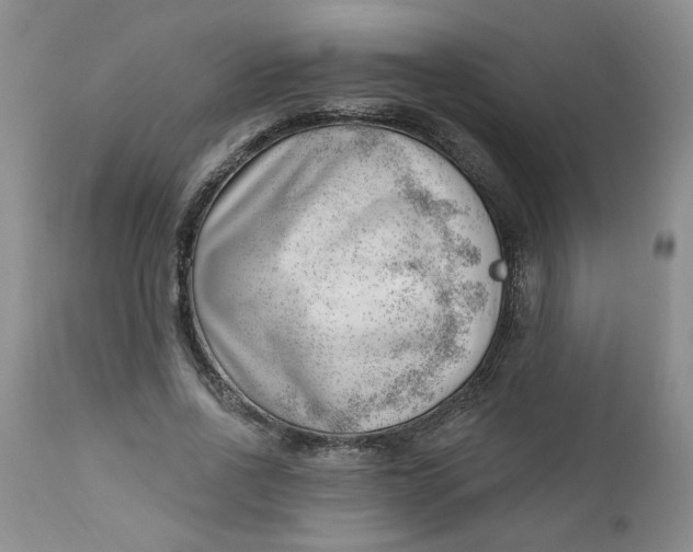 X0000112740734200909101515