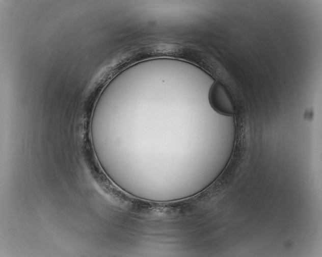 X0000112740736200909101515