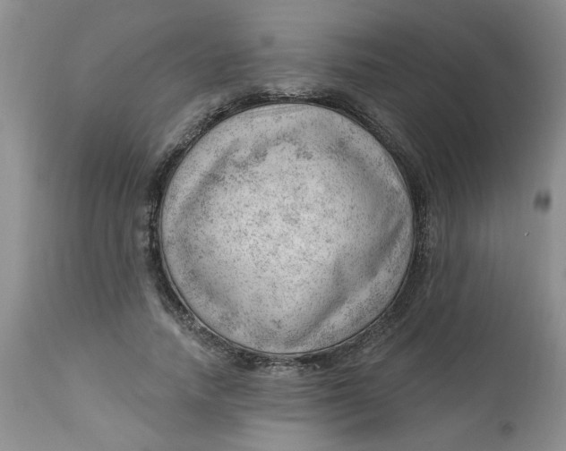 X0000112740738200909101515