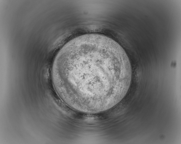 X0000112740746200909101515