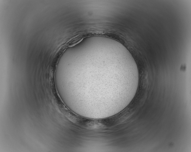 X0000112740747200909101515