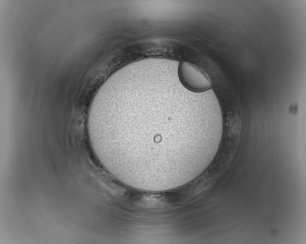 X0000112740753200909101515