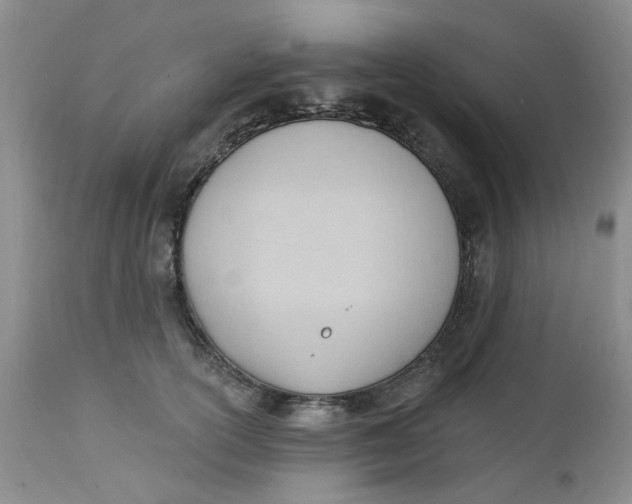 X0000112740754200909101515