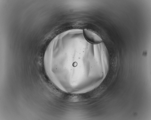 X0000112740755200909101515