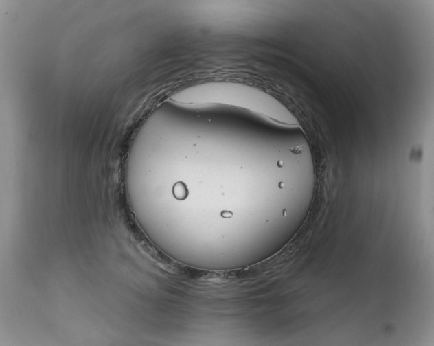 X0000112740756200909101515