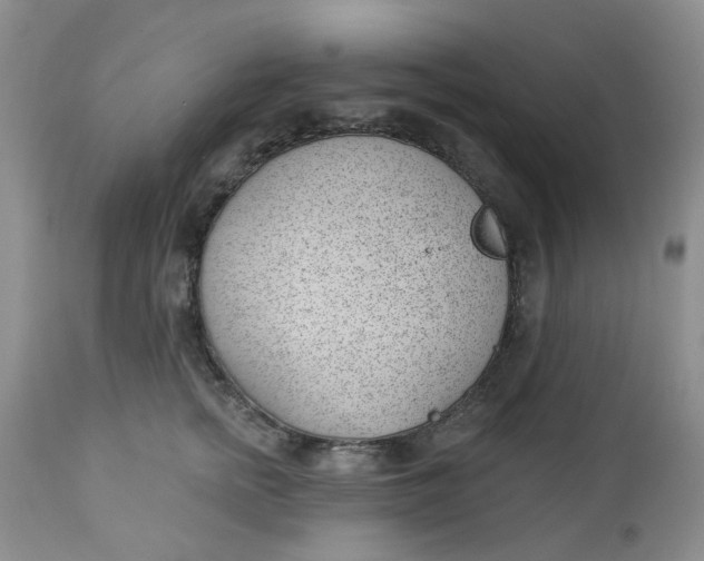 X0000112740758200909101515