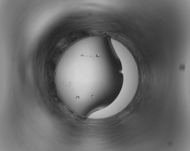 X0000112740762200909101515