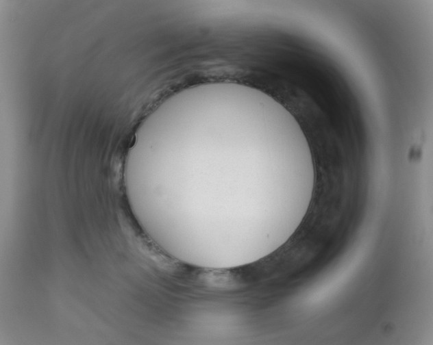 X0000112740767200909101516