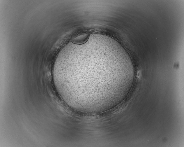 X0000112740771200909101515