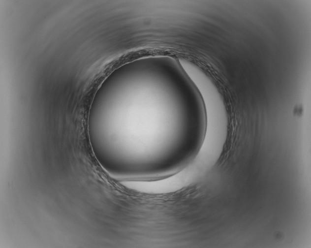 X0000112740773200909101515