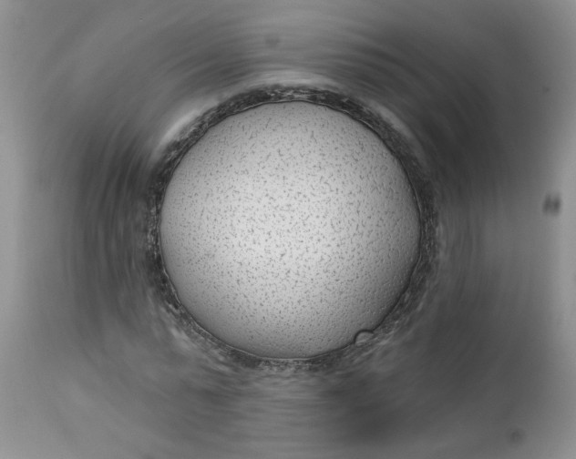 X0000112740775200909101515