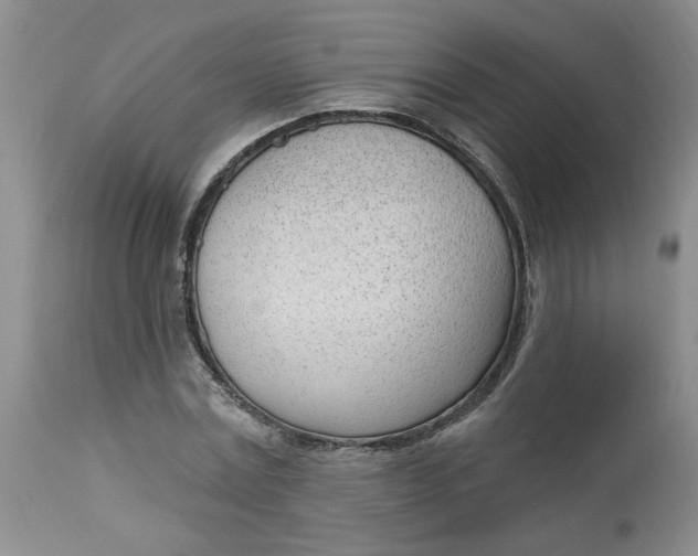 X0000112740779200909101515