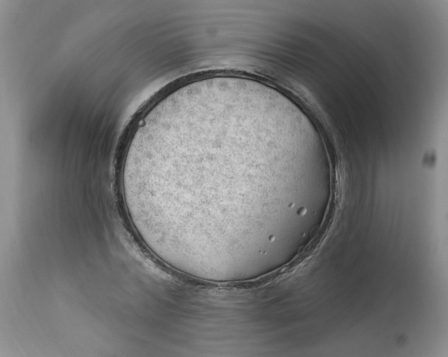 X0000112740780200909101515