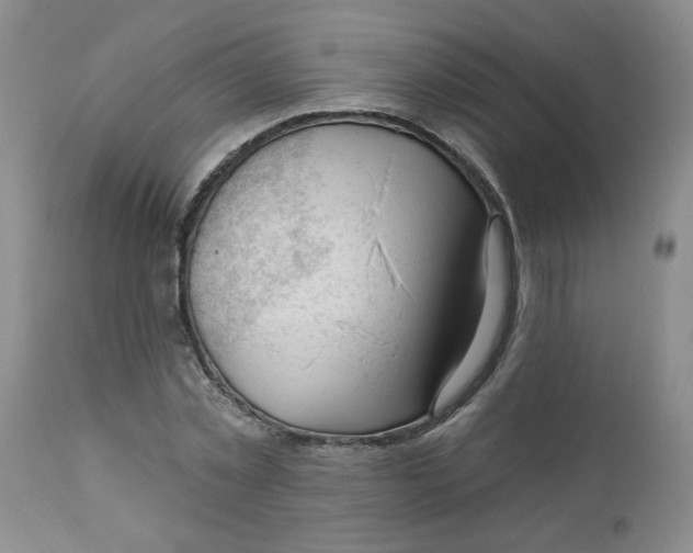 X0000112740781200909101515