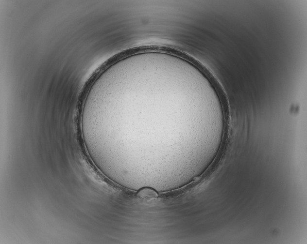 X0000112740783200909101515