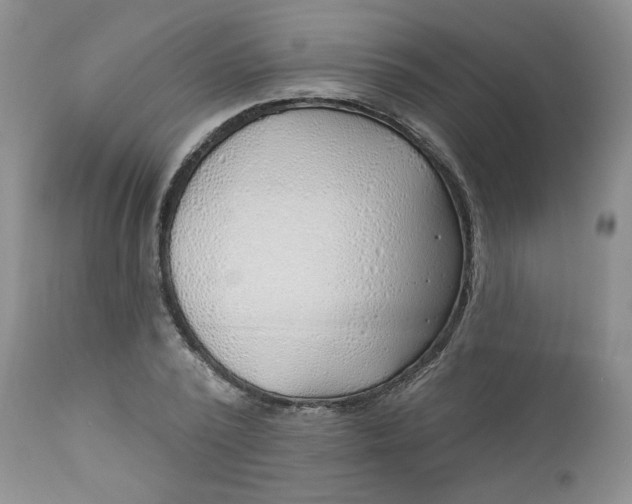 X0000112740784200909101515