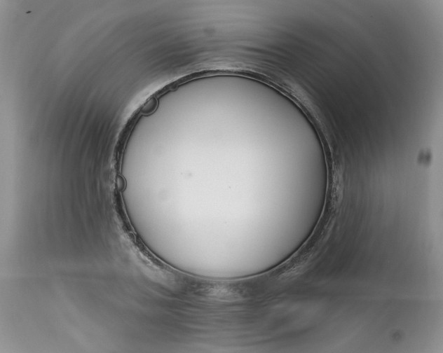 X0000112740787200909101514