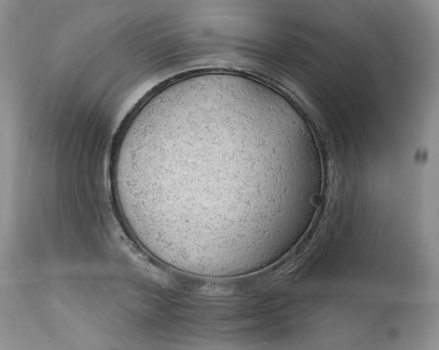 X0000112740788200909101514