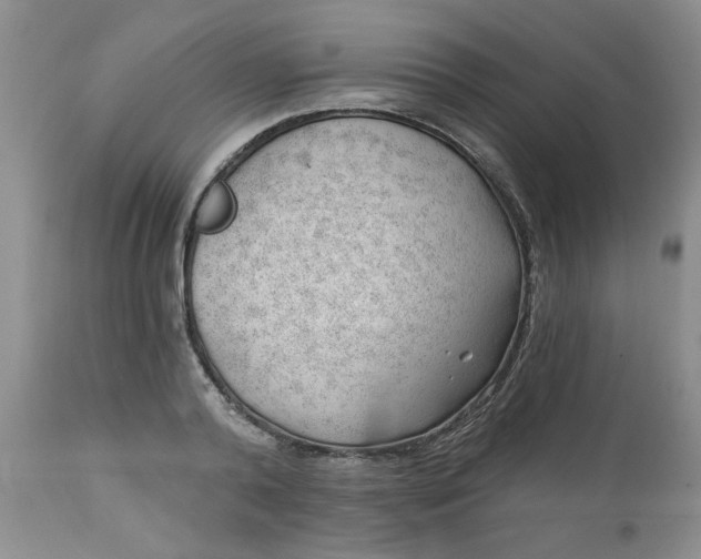 X0000112740792200909101514